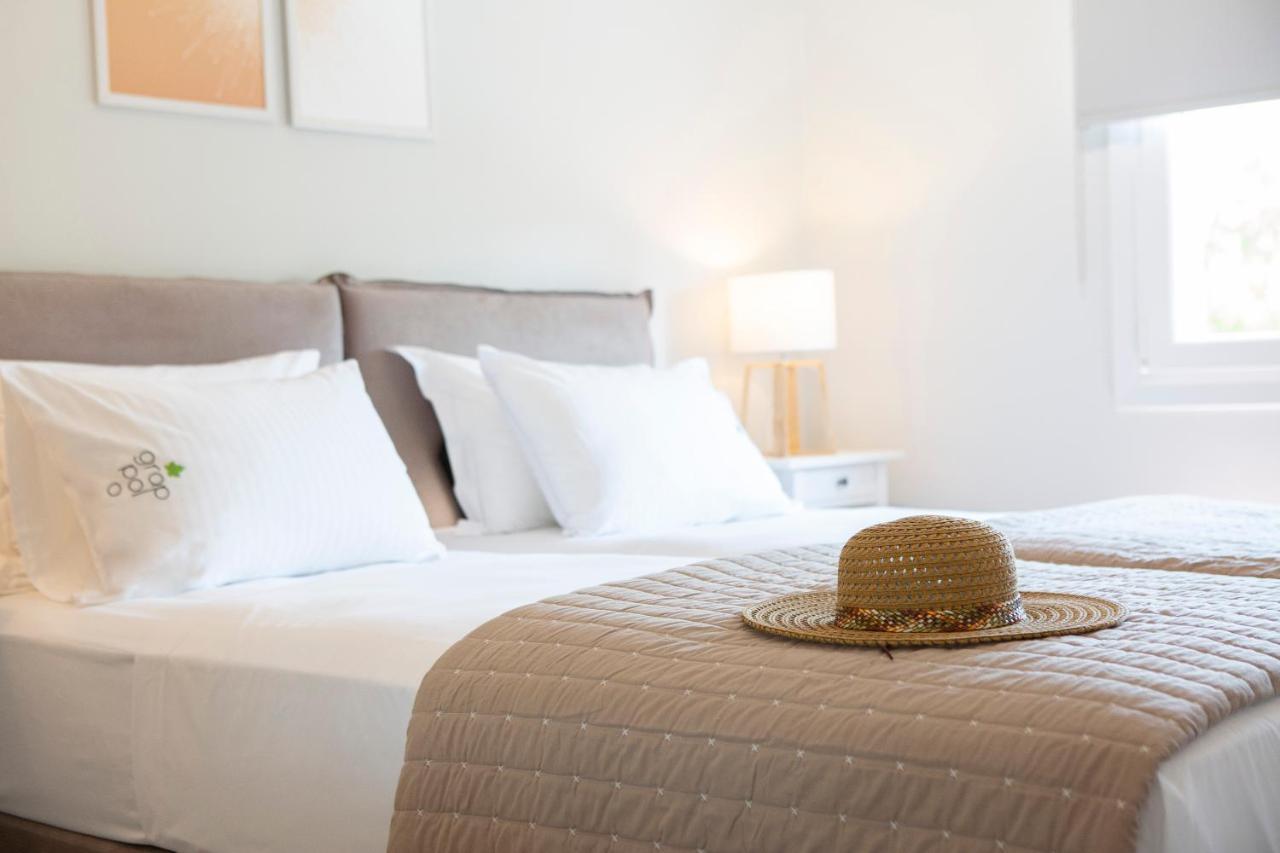 Grappolo Lefkada Villas - Vilana Ideal For Families And Small Groups Apolpaina Luaran gambar